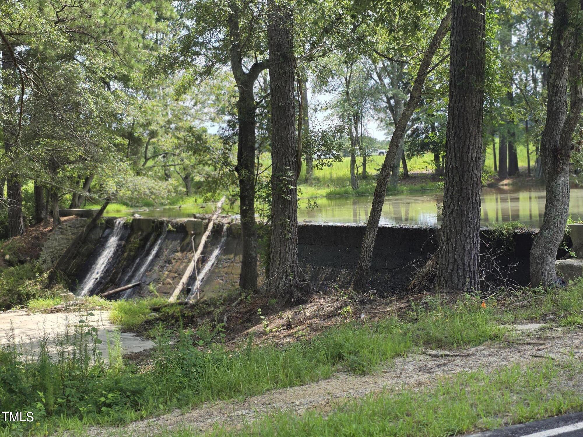 0 Dukes Lake Road Zebulon, NC 27597 - Photo 7 of 11 a view of backyard with green space