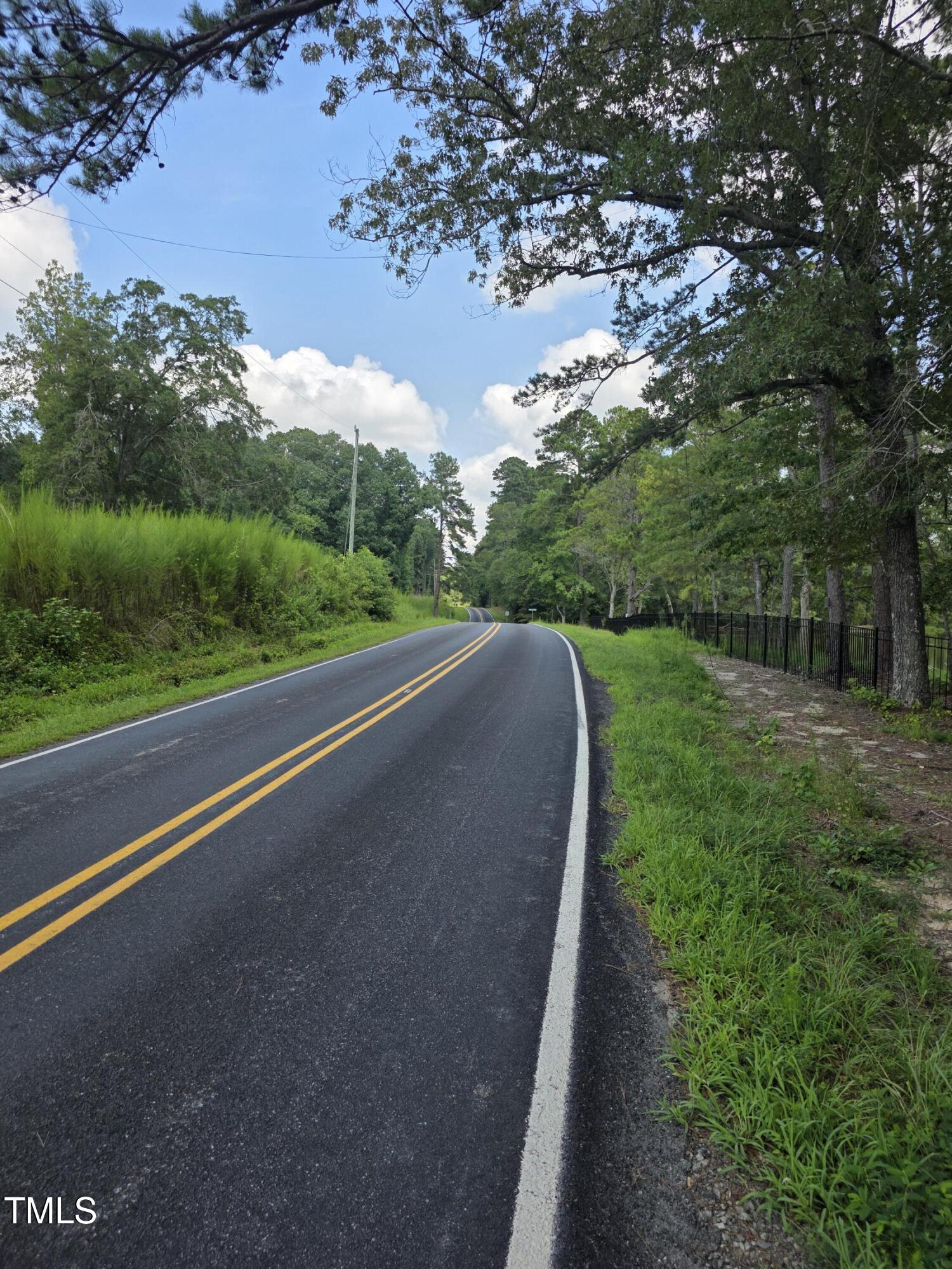 0 Dukes Lake Road Zebulon, NC 27597 - Photo 10 of 11 a view of a yard with an trees