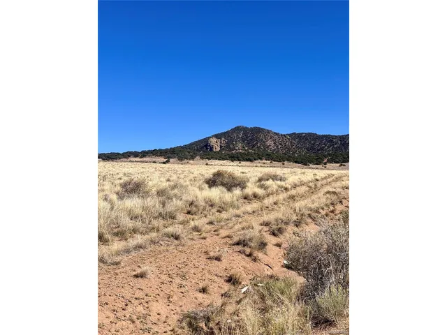 a view of a yard with a house
