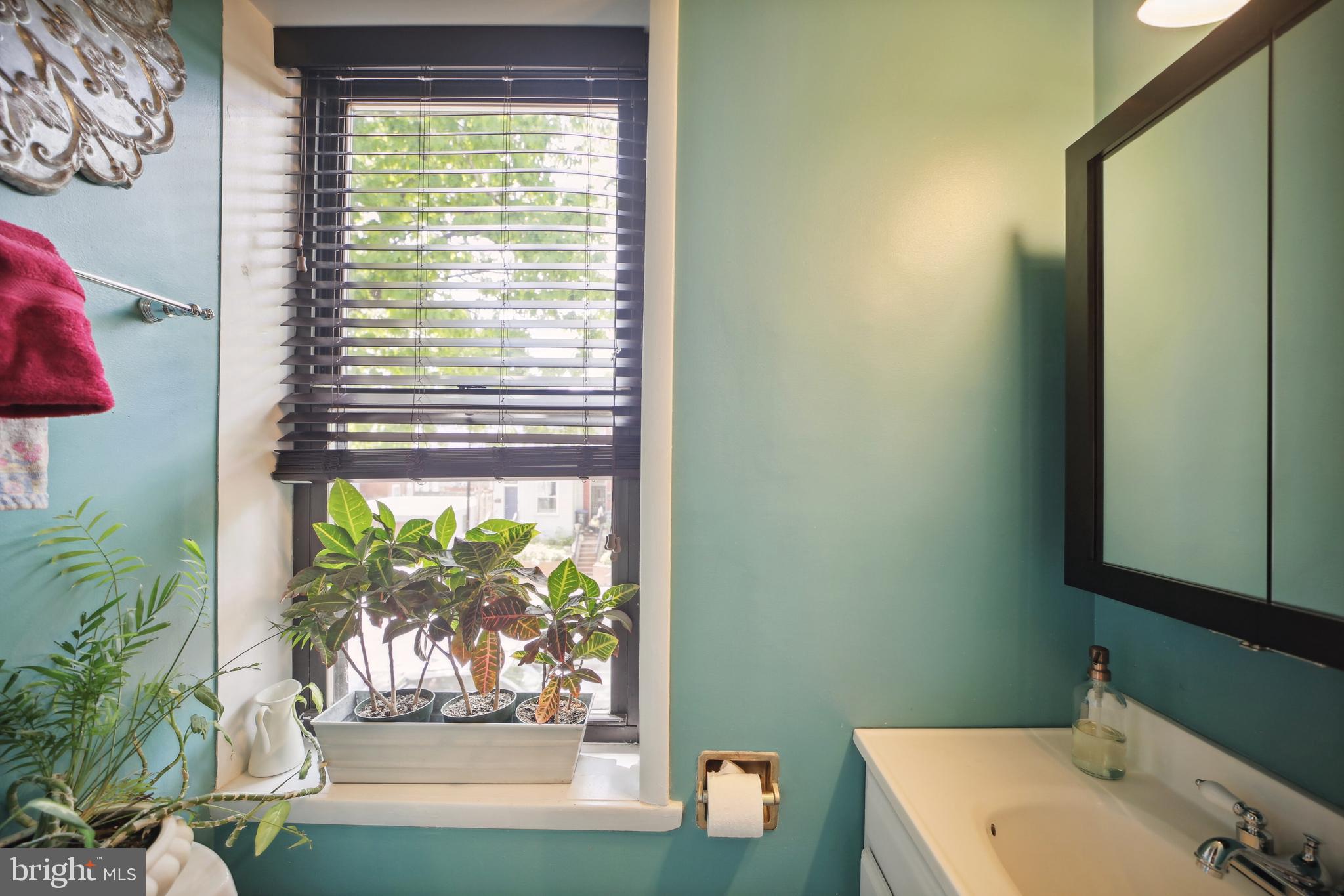 432 15th Street Southeast Washington, DC 20003 - Photo 21 of 26 a bathroom with a window a sink and a mirror