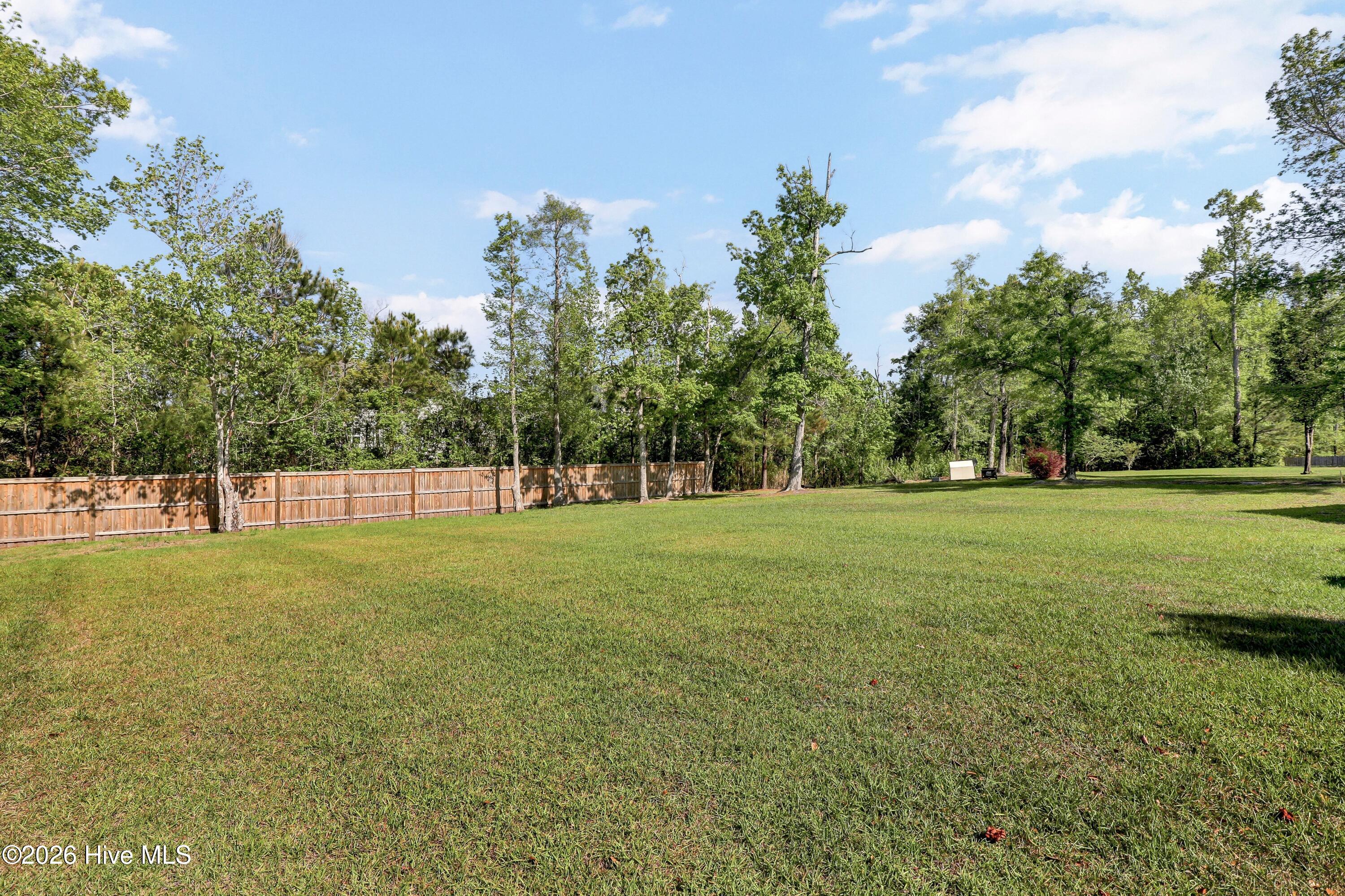 353 Washington Acres Road Hampstead, NC 28443 - Photo 48 of 68 045_6g8a2198_131