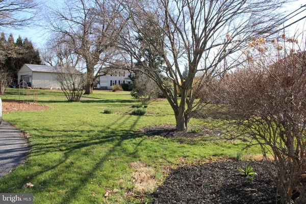 a view of a yard with large trees