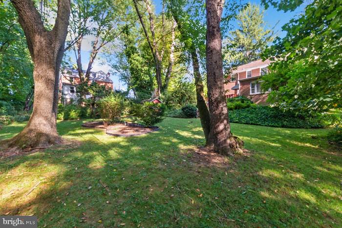803 Pleasant Hill Road Wallingford, PA 19086 - Photo 22 of 26 Rear yard