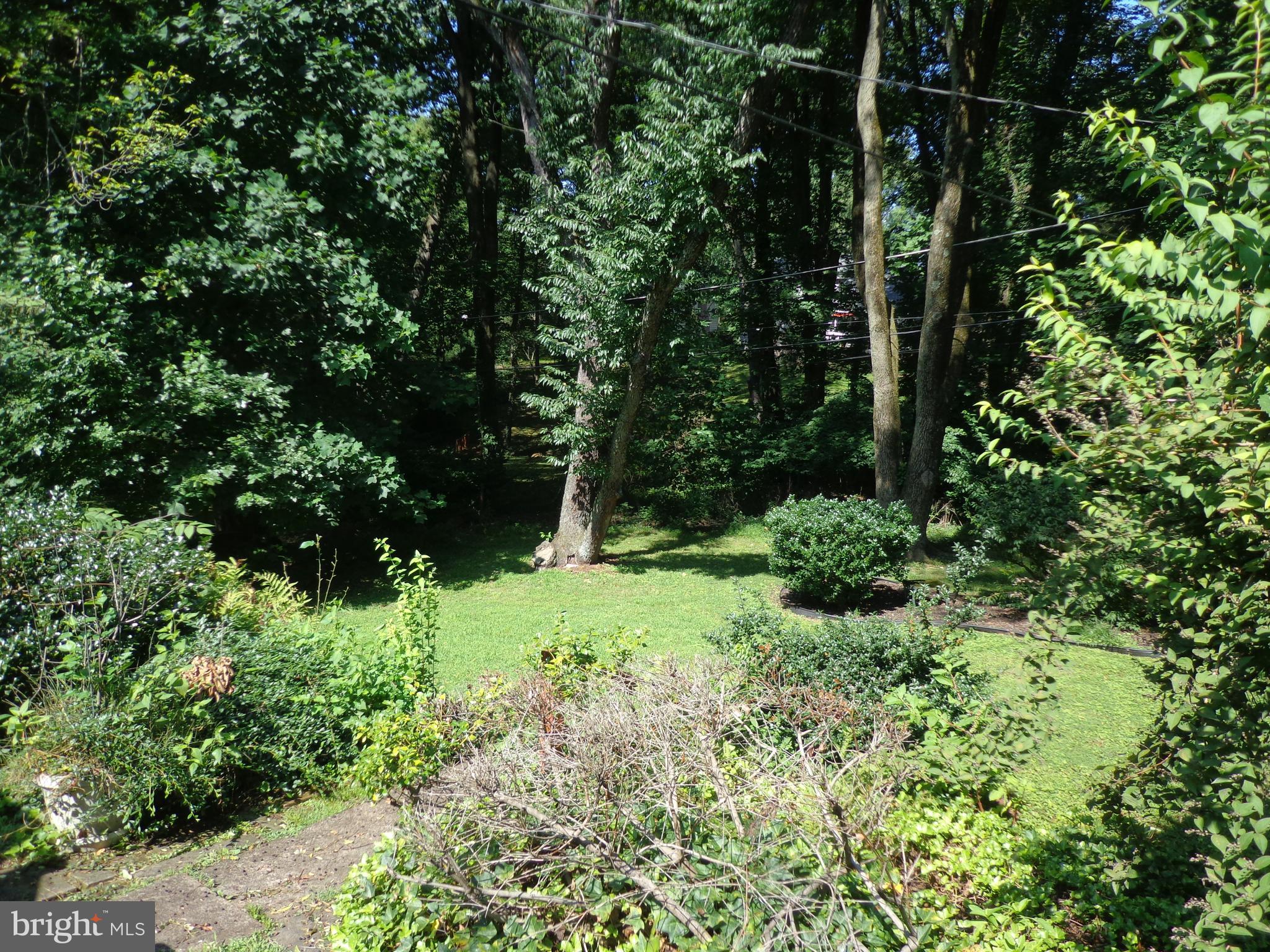 803 Pleasant Hill Road Wallingford, PA 19086 - Photo 25 of 26 Rear yard