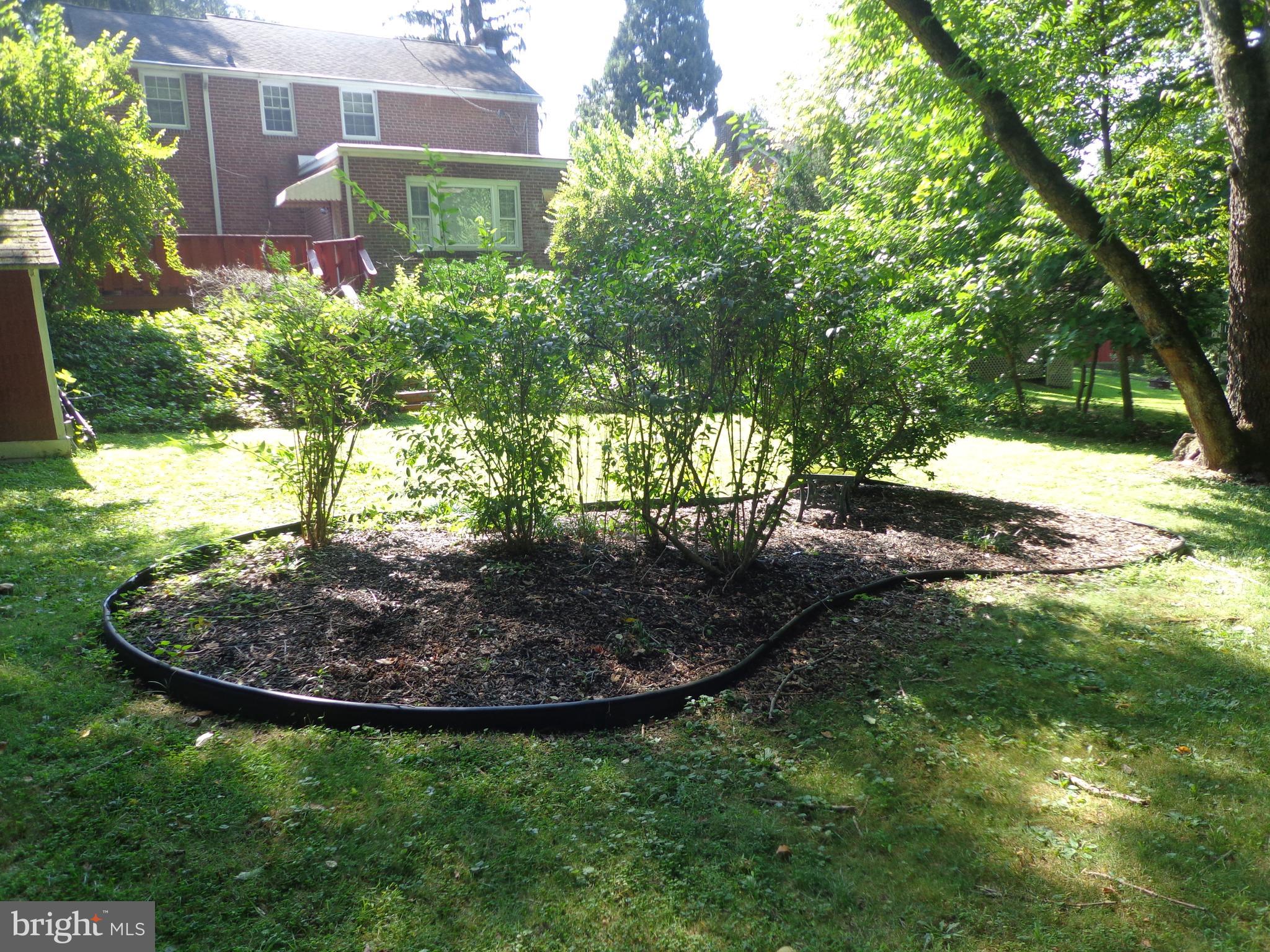 803 Pleasant Hill Road Wallingford, PA 19086 - Photo 26 of 26 Rear yard