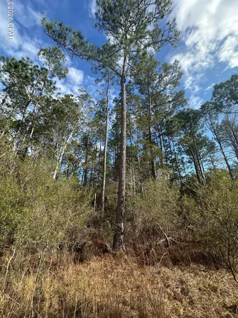 $89,000 | 5033 Douglas Ferry Road, Caryville, FL 32427