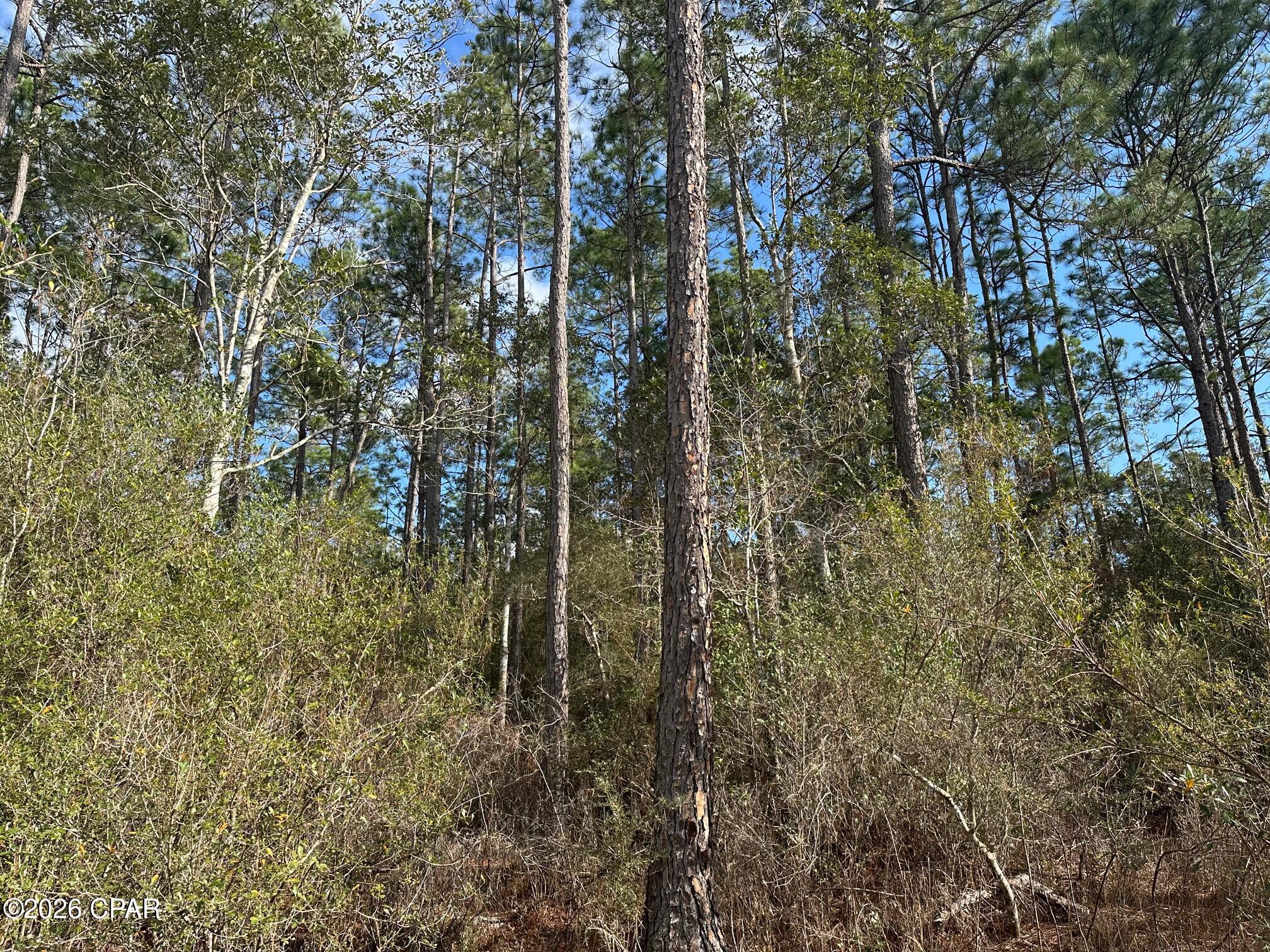 5033 Douglas Ferry Road Caryville, FL 32427 - Photo 2 of 11