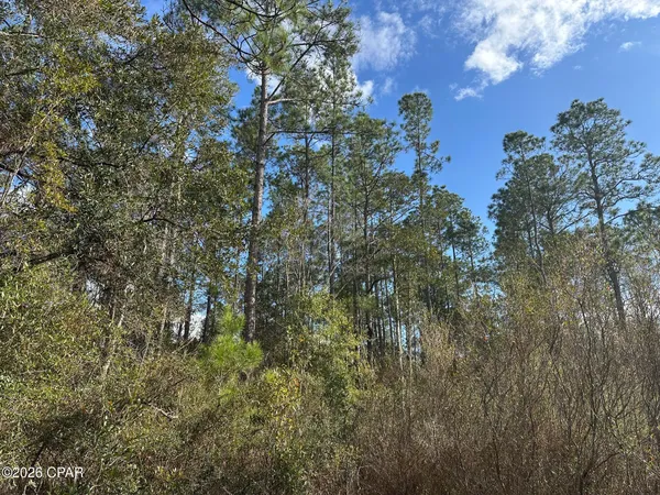 $89,000 | 5033 Douglas Ferry Road, Caryville, FL 32427
