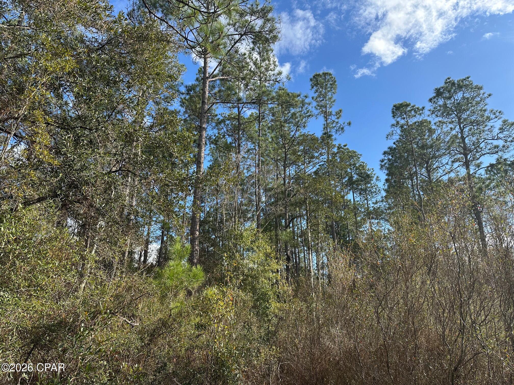 5033 Douglas Ferry Road Caryville, FL 32427 - Photo 3 of 11