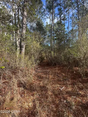 $89,000 | 5033 Douglas Ferry Road, Caryville, FL 32427