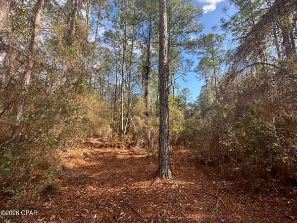 $89,000 | 5033 Douglas Ferry Road, Caryville, FL 32427