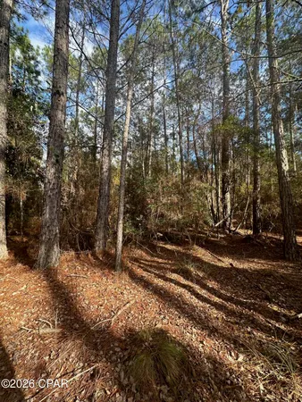 $89,000 | 5033 Douglas Ferry Road, Caryville, FL 32427