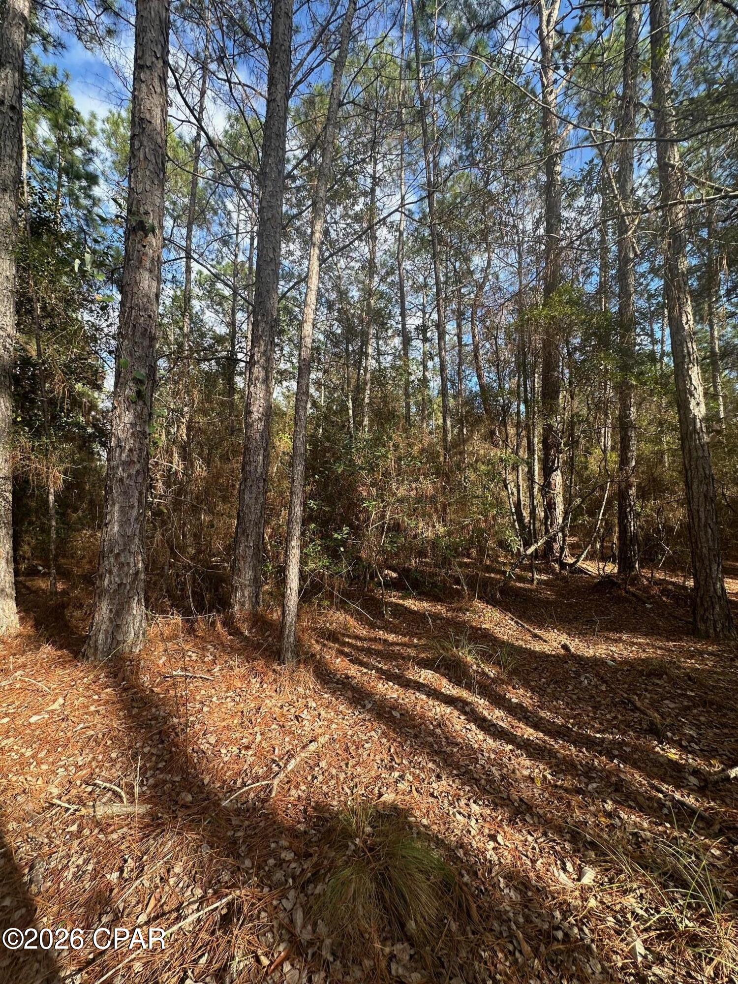 5033 Douglas Ferry Road Caryville, FL 32427 - Photo 6 of 11