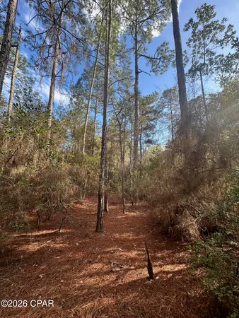 $89,000 | 5033 Douglas Ferry Road, Caryville, FL 32427