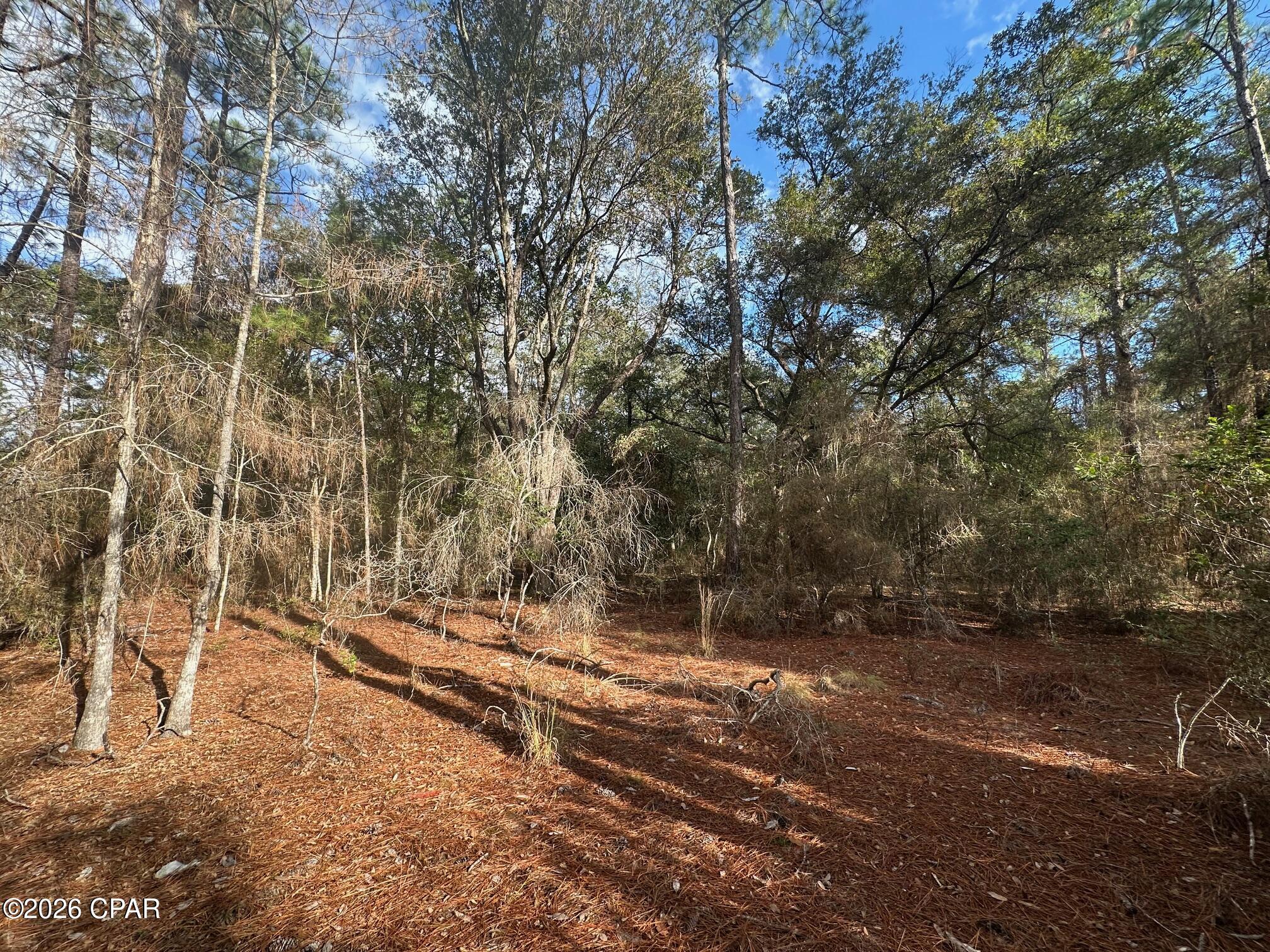 5033 Douglas Ferry Road Caryville, FL 32427 - Photo 8 of 11