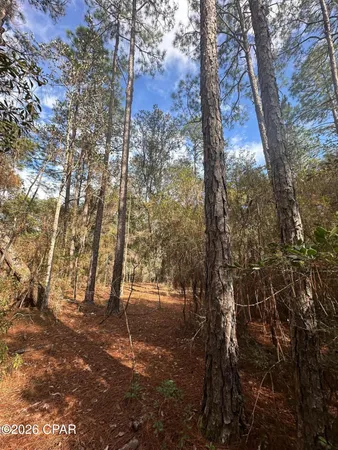 $89,000 | 5033 Douglas Ferry Road, Caryville, FL 32427