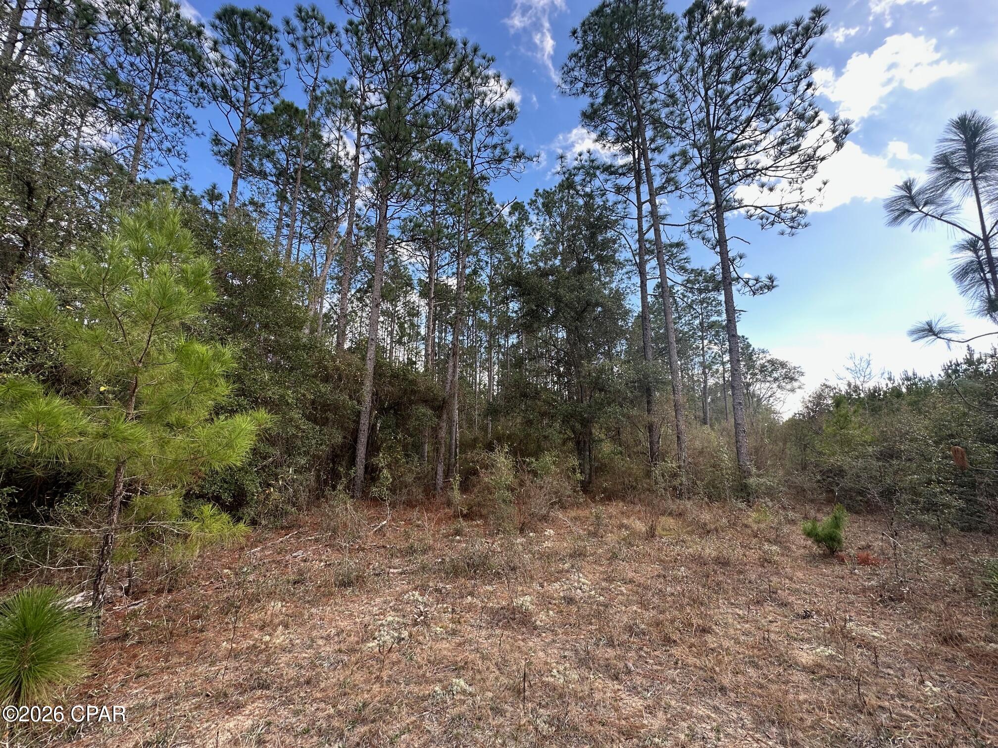 5033 Douglas Ferry Road Caryville, FL 32427 - Photo 10 of 11