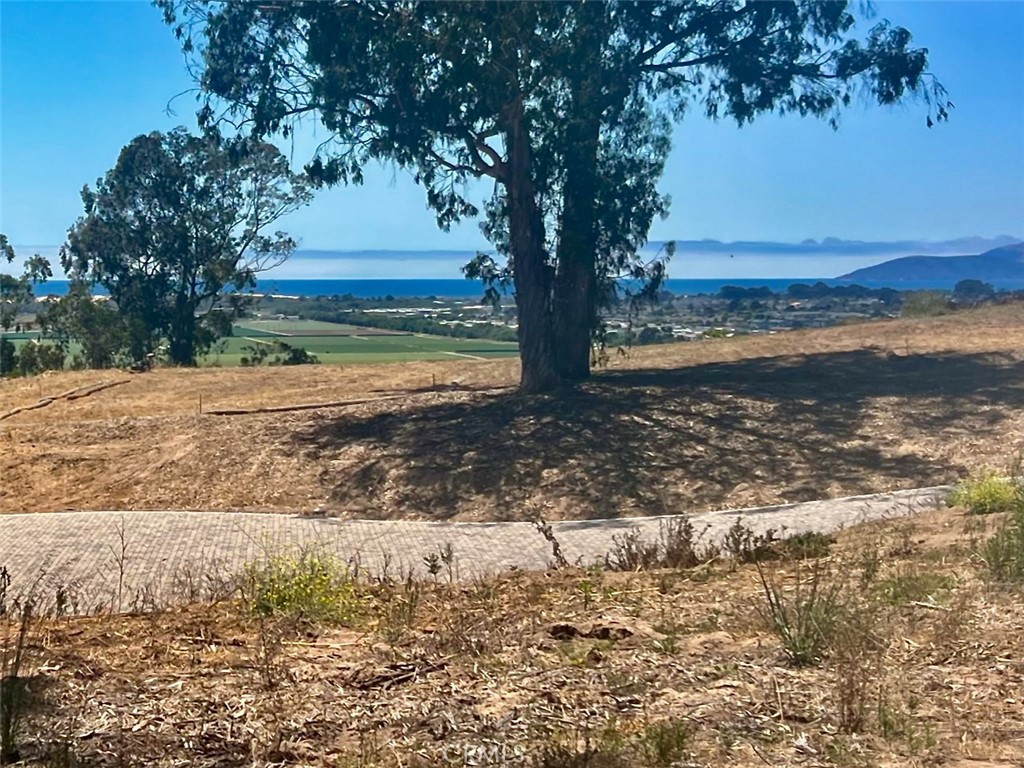 0 Castle Bluff Road Arroyo Grande, CA 93420 - Photo 16 of 38 a view of a yard with an trees