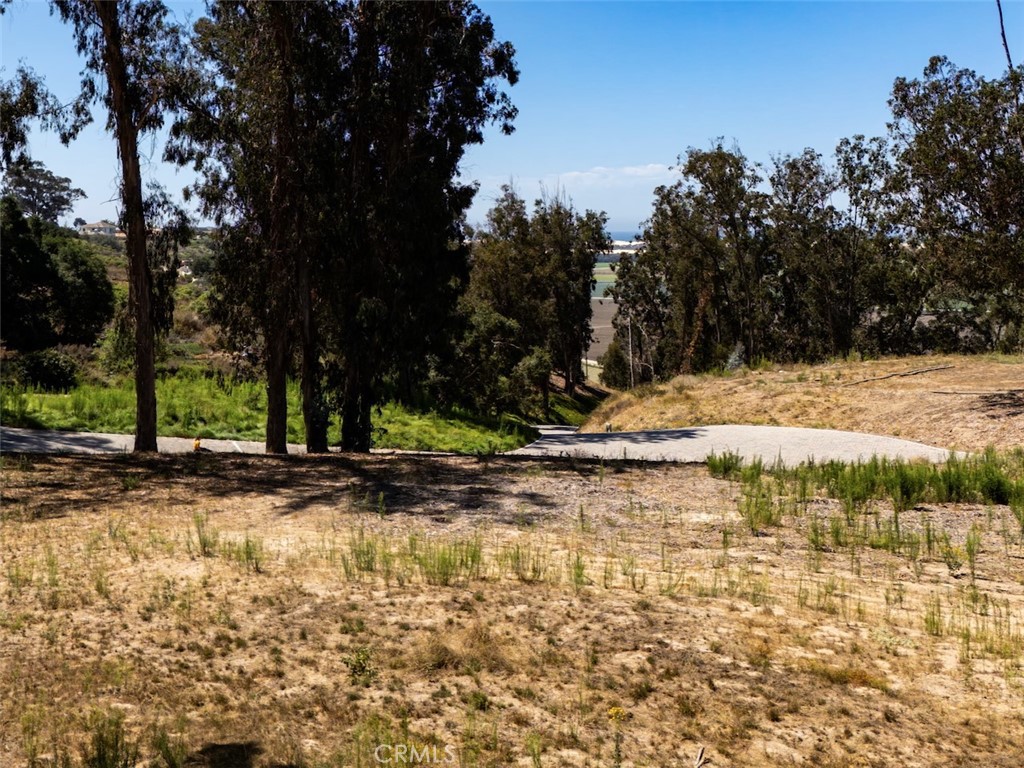 0 Castle Bluff Road Arroyo Grande, CA 93420 - Photo 18 of 38 a view of a lake with a tree