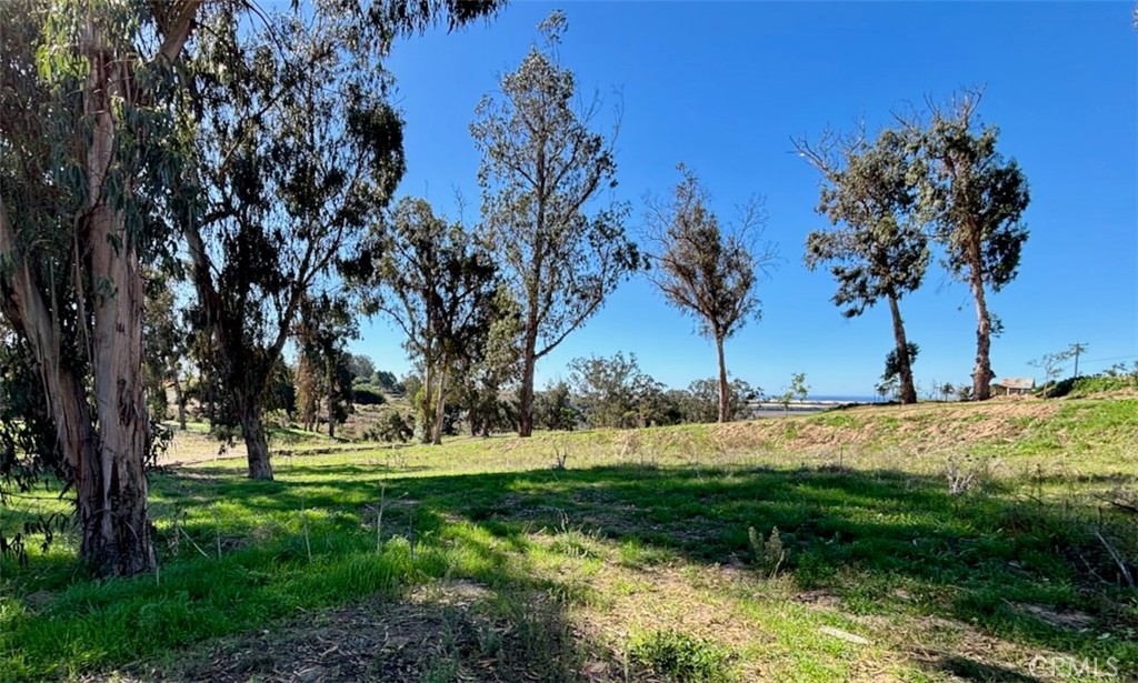 0 Castle Bluff Road Arroyo Grande, CA 93420 - Photo 10 of 38 a view of a tree with a yard