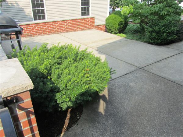 120 Orvis Road Revere, MA 02151 - Photo 29 of 30 Gallery Image 29