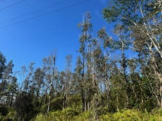 334 Forest Road Pahoa, HI 96778 - Photo 1 of 5 Gallery Image 1
