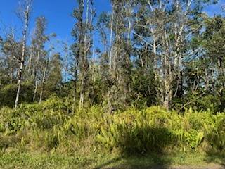 334 Forest Road Pahoa, HI 96778 - Photo 2 of 5 Gallery Image 2