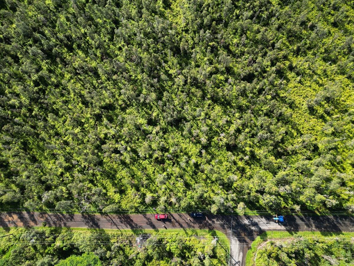 334 Forest Road Pahoa, HI 96778 - Photo 3 of 5 Gallery Image 3