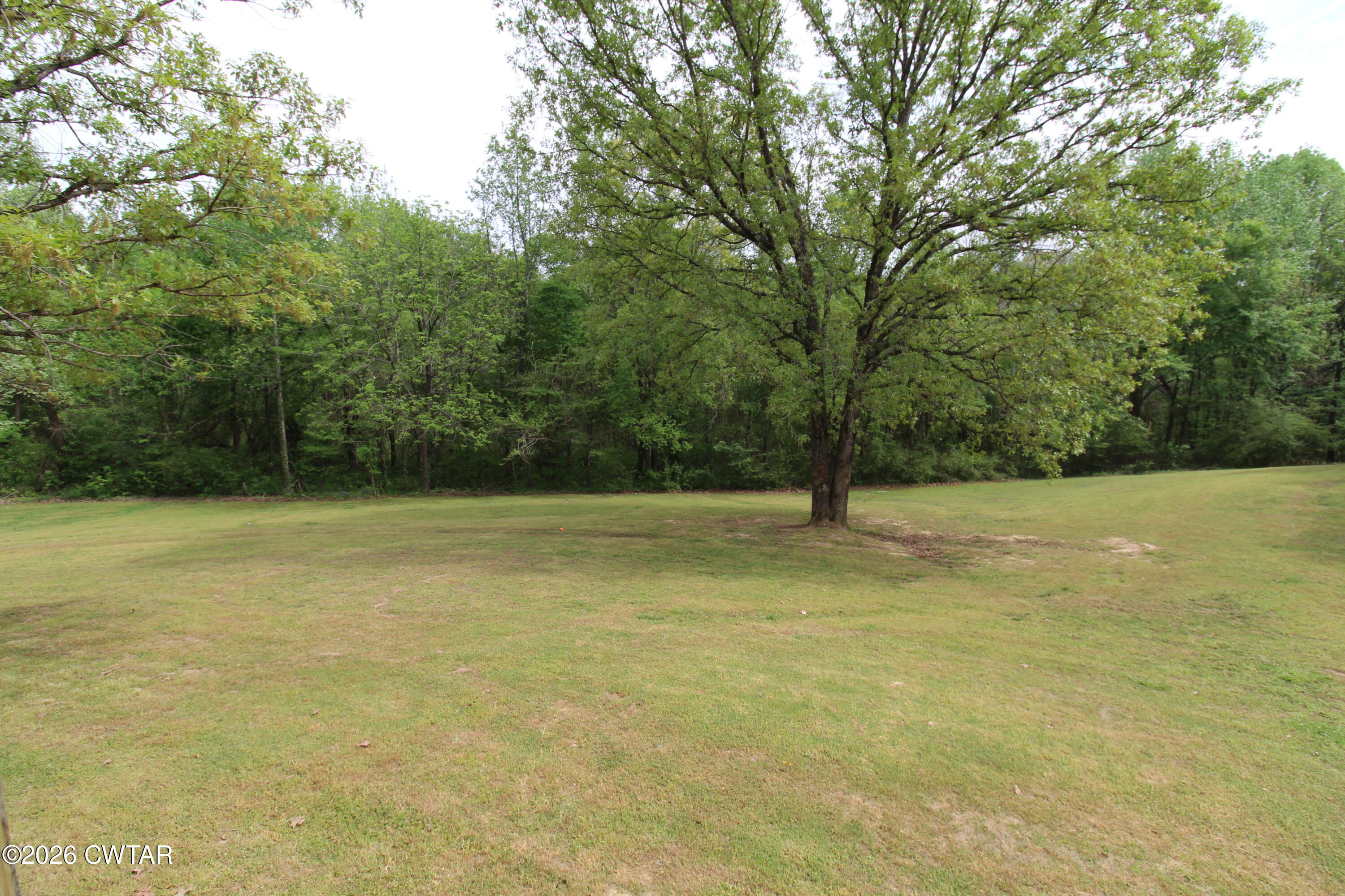 81 Monk Circle Lexington, TN 38351 - Photo 7 of 21 a view of a field with trees