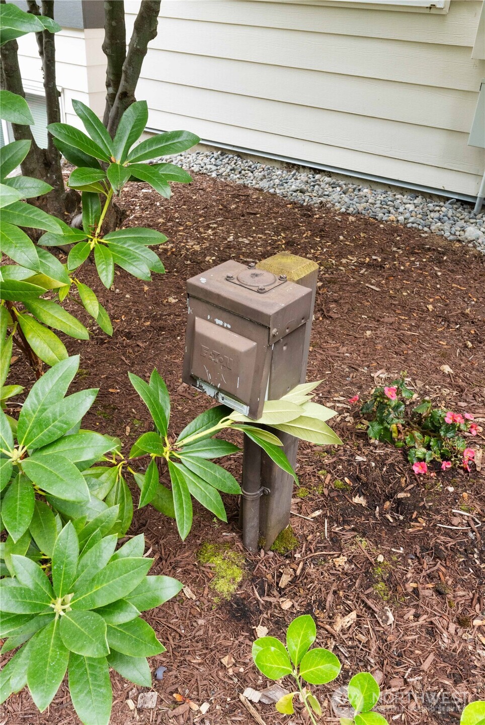 31500 33rd Place Southwest, Unit C203 Federal Way, WA 98023 - Photo 24 of 28 a picture of a tree with a garden