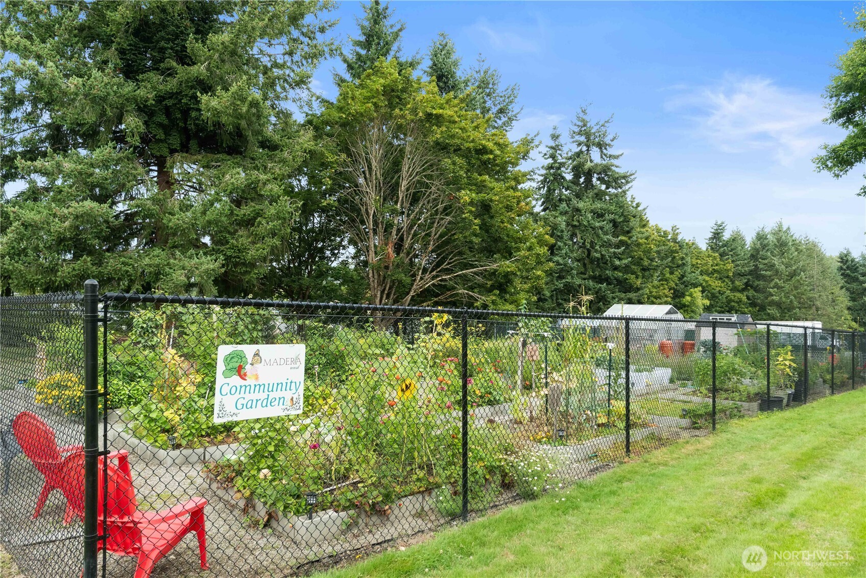 31500 33rd Place Southwest, Unit C203 Federal Way, WA 98023 - Photo 26 of 28 a garden view