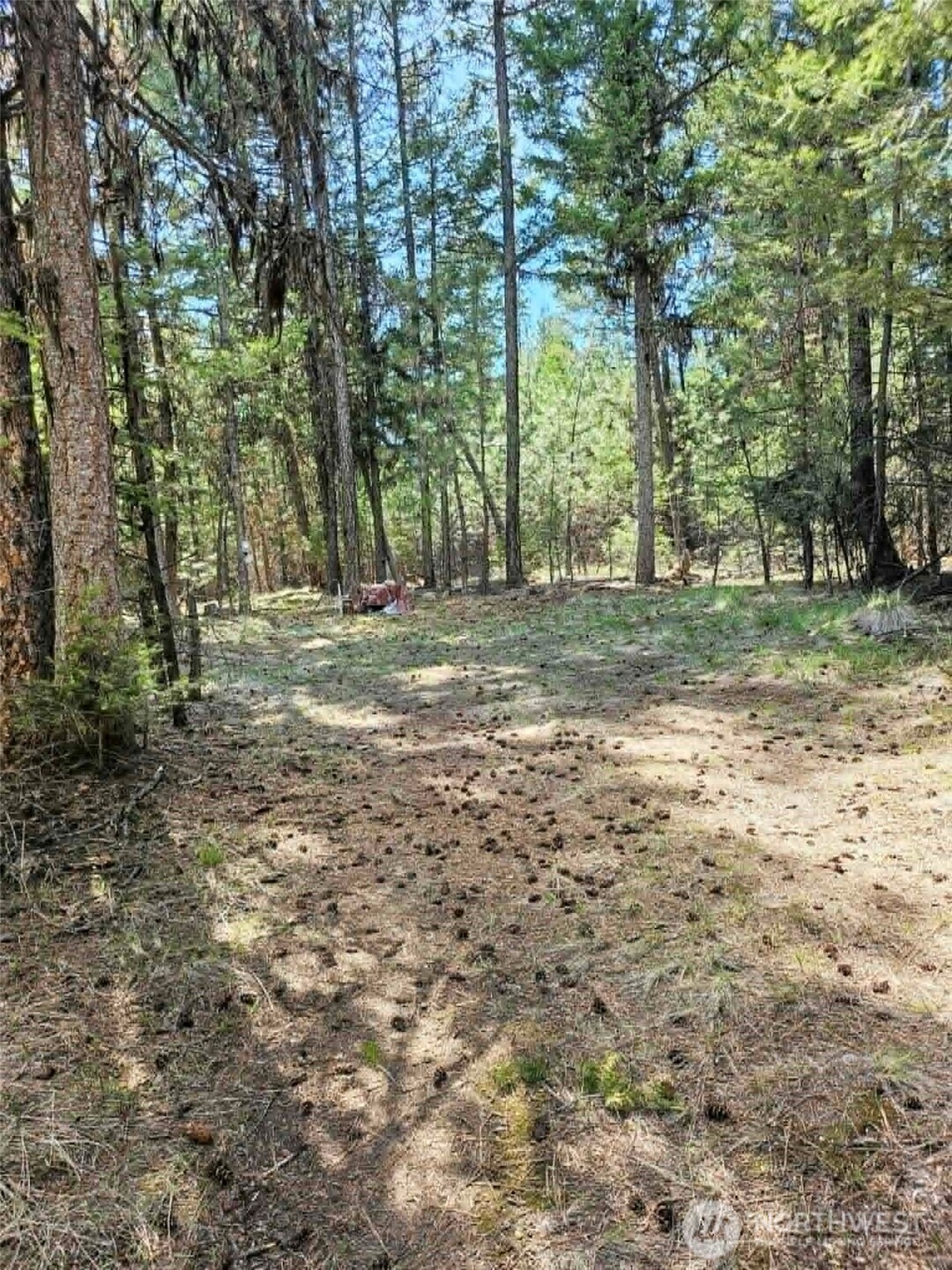 168 Prior Loop Road Oroville, WA 98844 - Photo 14 of 19