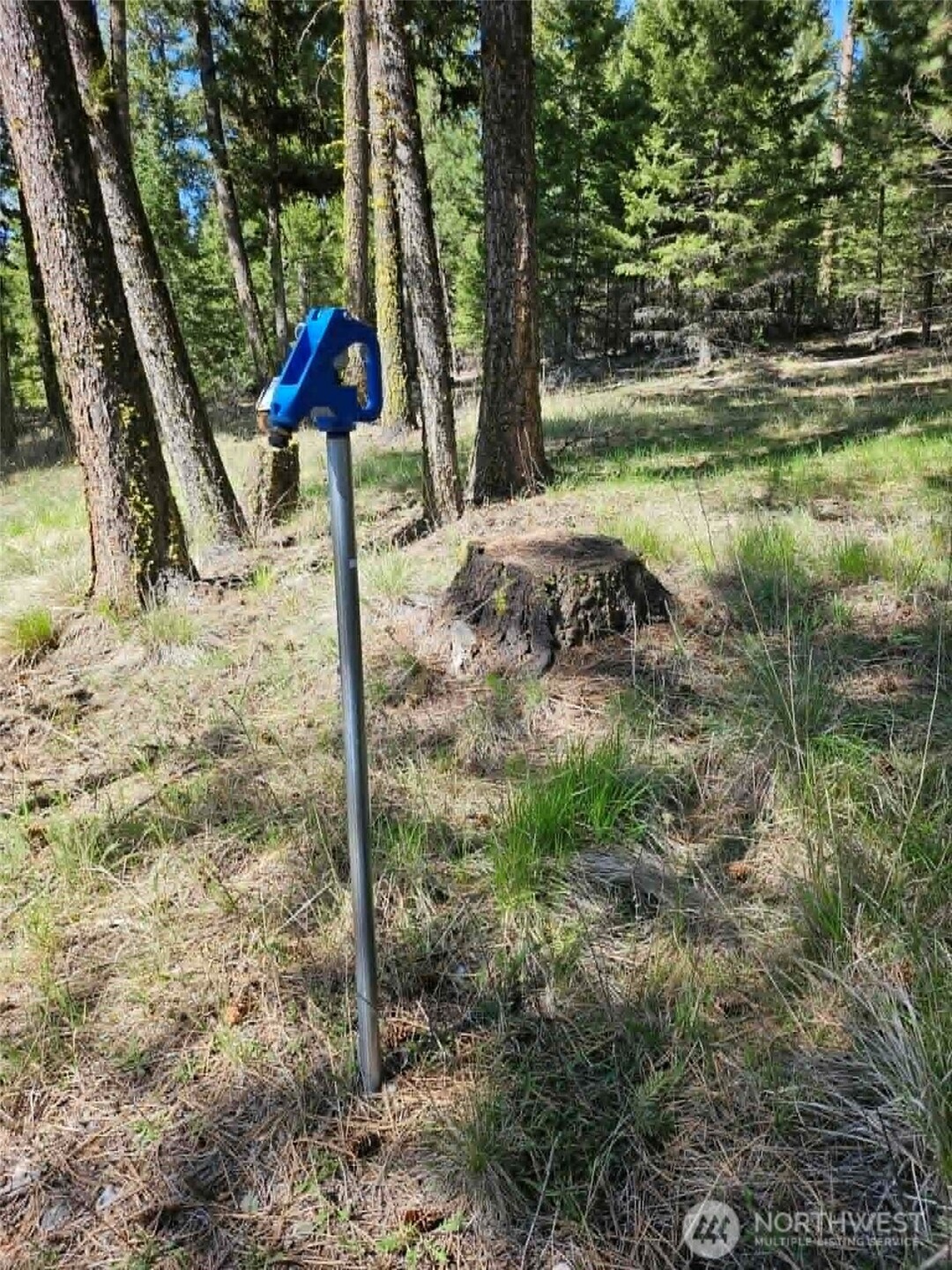 168 Prior Loop Road Oroville, WA 98844 - Photo 15 of 19
