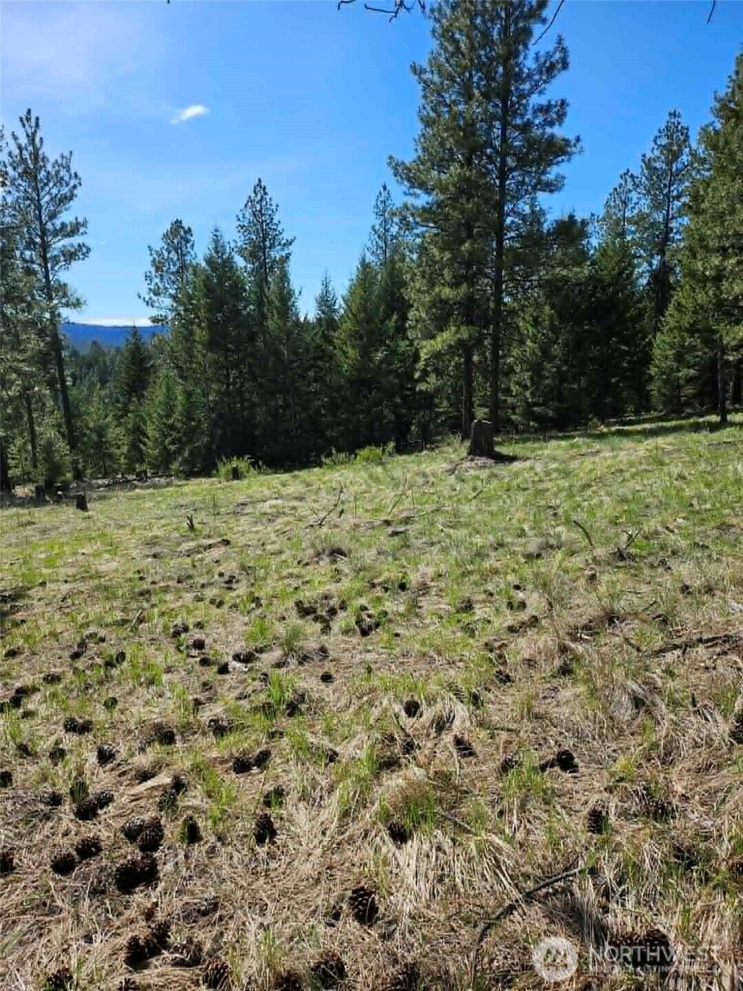 168 Prior Loop Road Oroville, WA 98844 - Photo 18 of 19