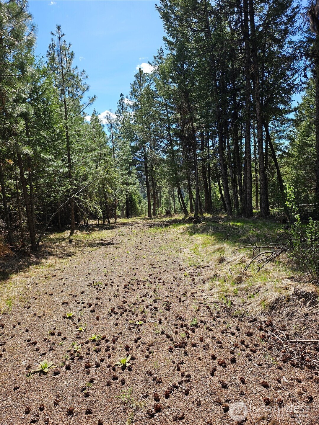 168 Prior Loop Road Oroville, WA 98844 - Photo 2 of 19