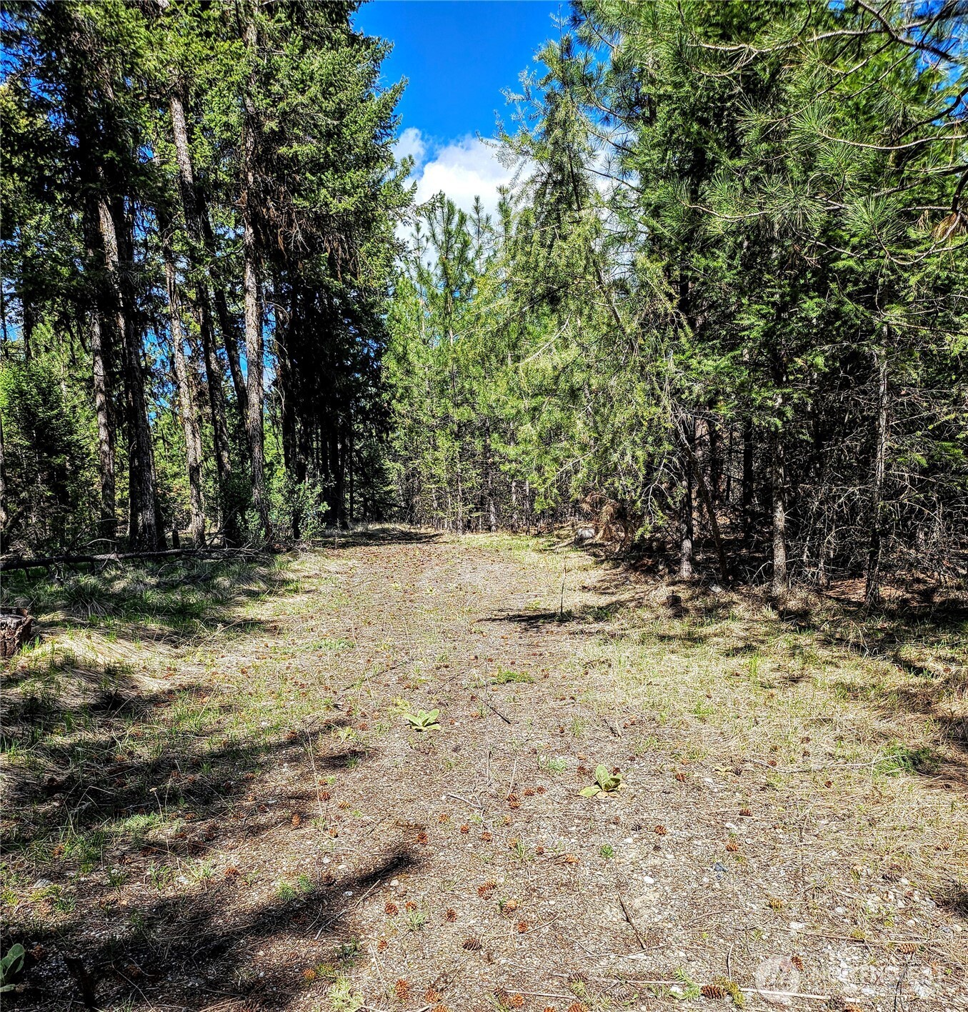 168 Prior Loop Road Oroville, WA 98844 - Photo 3 of 19