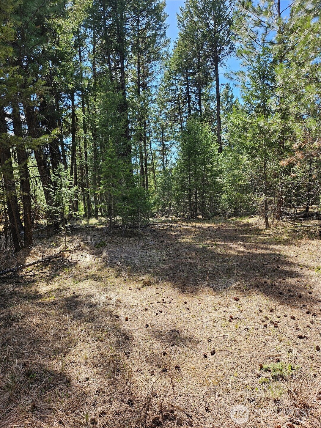 168 Prior Loop Road Oroville, WA 98844 - Photo 4 of 19