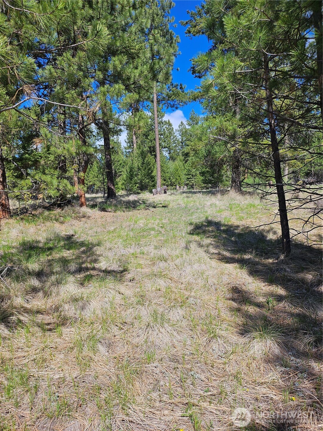 168 Prior Loop Road Oroville, WA 98844 - Photo 5 of 19