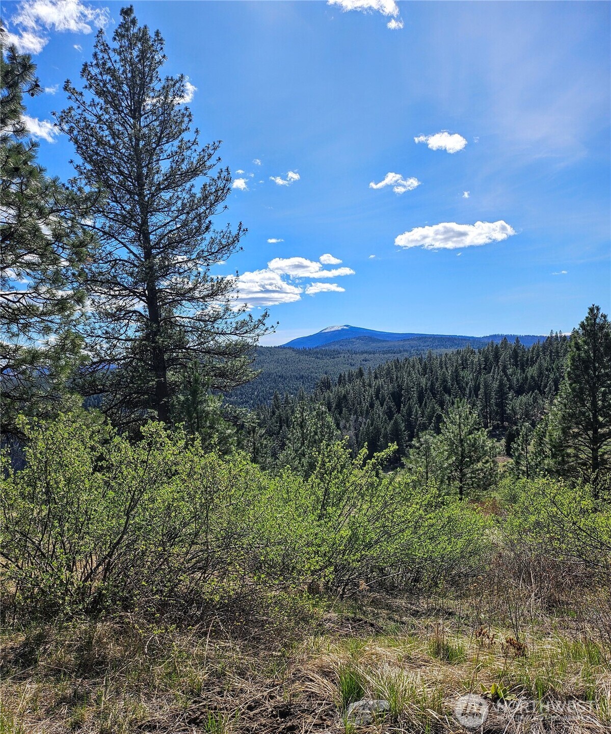 168 Prior Loop Road Oroville, WA 98844 - Photo 7 of 19