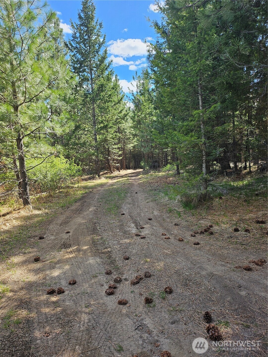 168 Prior Loop Road Oroville, WA 98844 - Photo 8 of 19