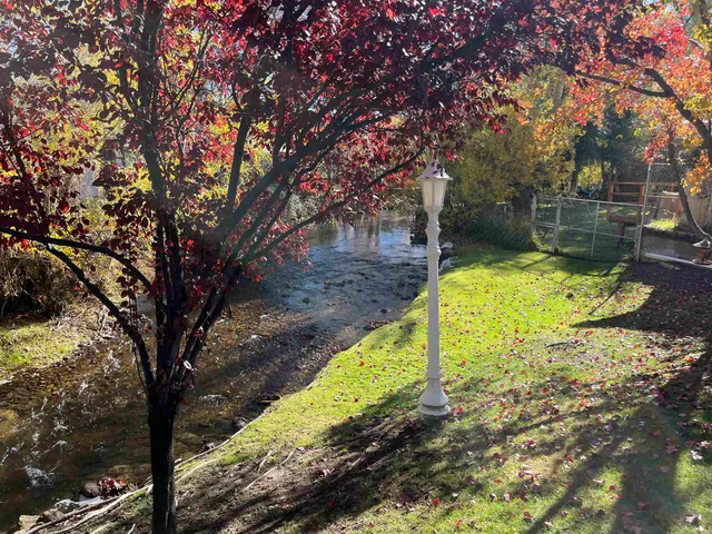 a view of a backyard with large trees