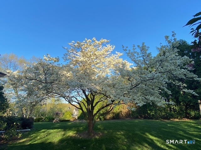 792 Wrights Crossing Road Pomfret, CT 06259 - Photo 9 of 20