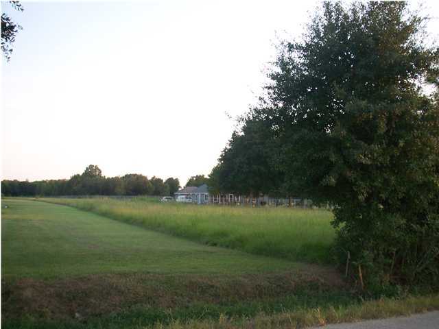 1000 Vatican Road Church Point, LA 70525 - Photo 2 of 2 Additional Photo