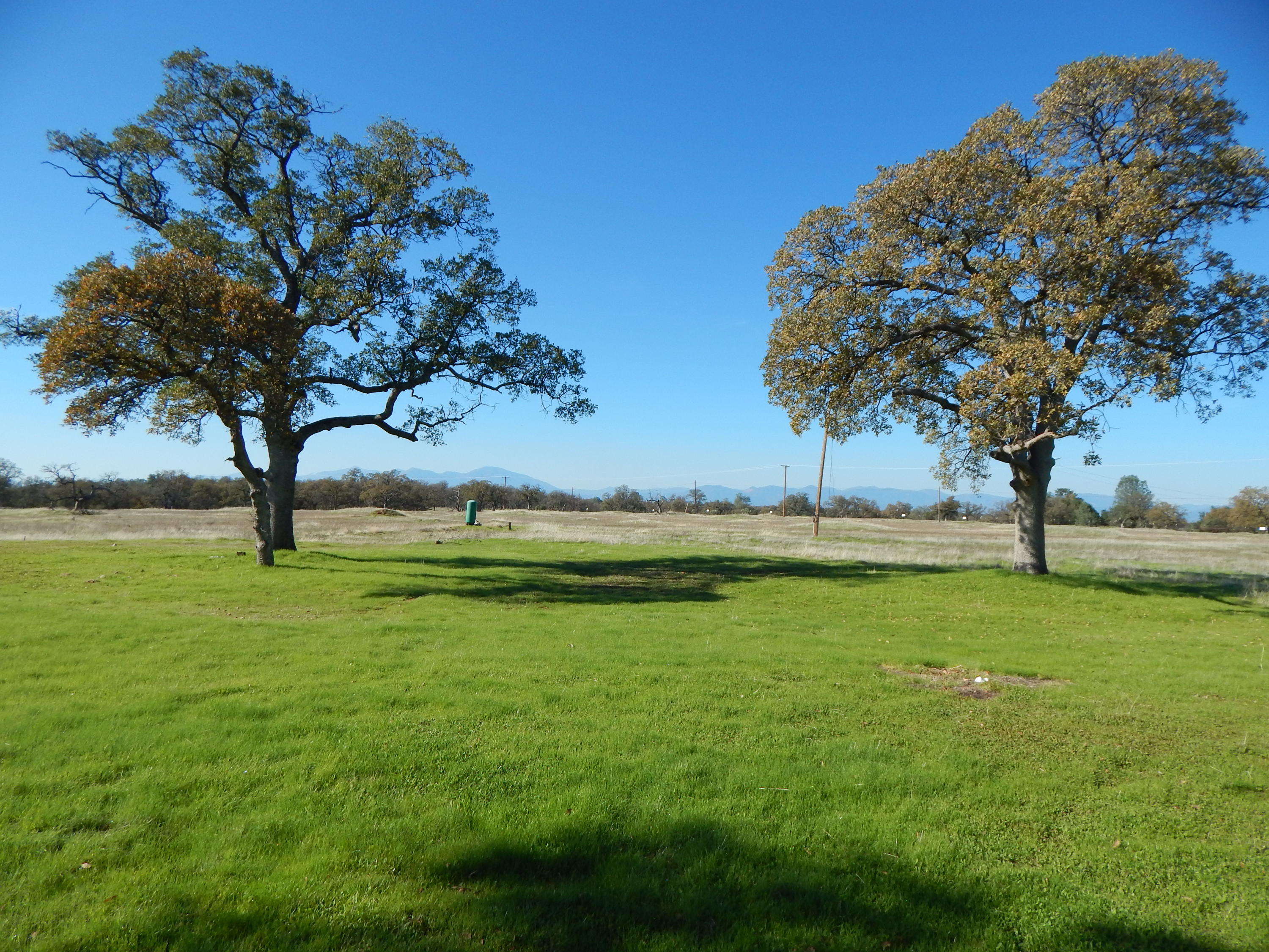 23700 Antler Road Millville, CA 96062 - Photo 3 of 83 DSCN5750