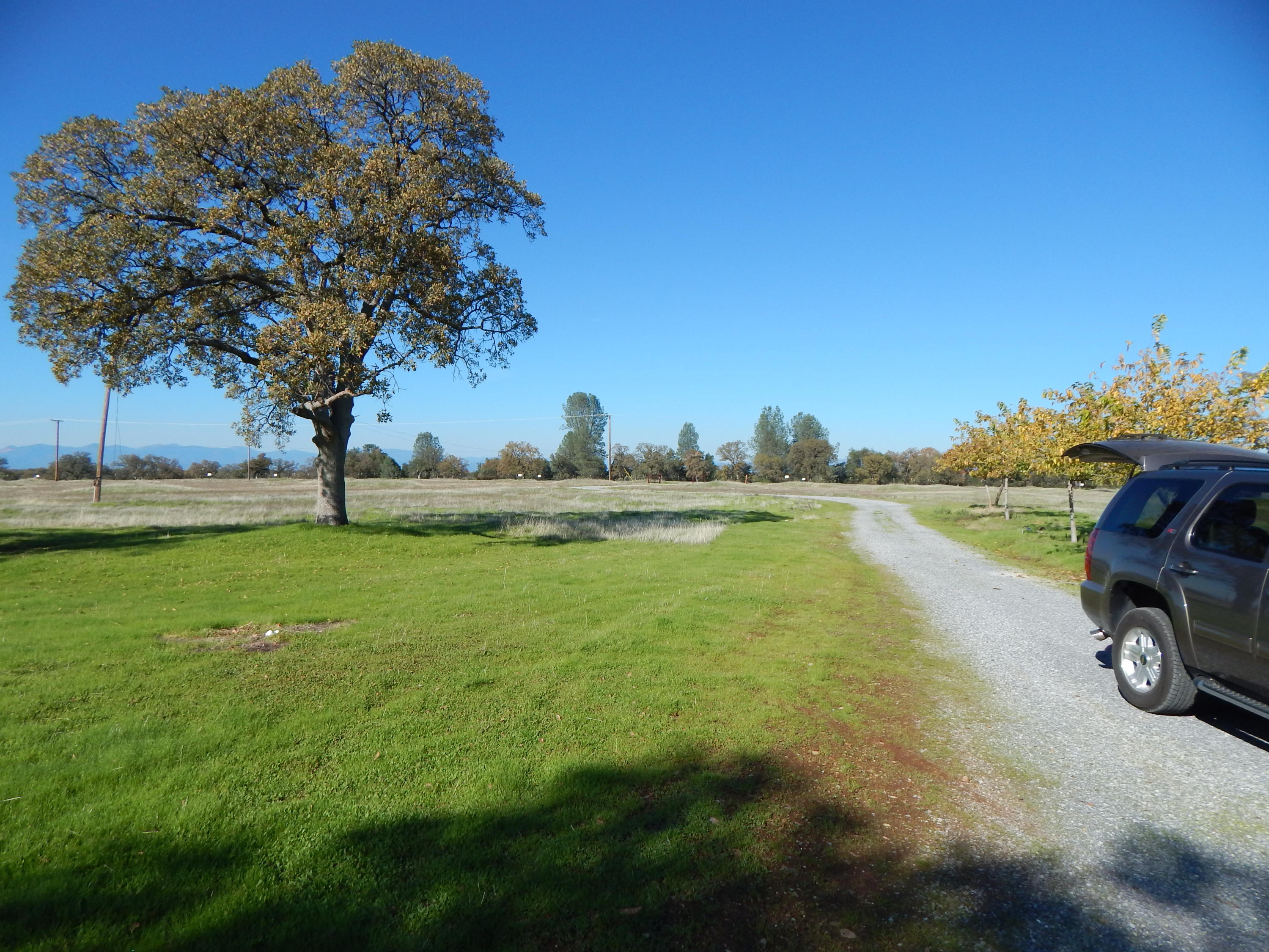 23700 Antler Road Millville, CA 96062 - Photo 4 of 83 DSCN5751