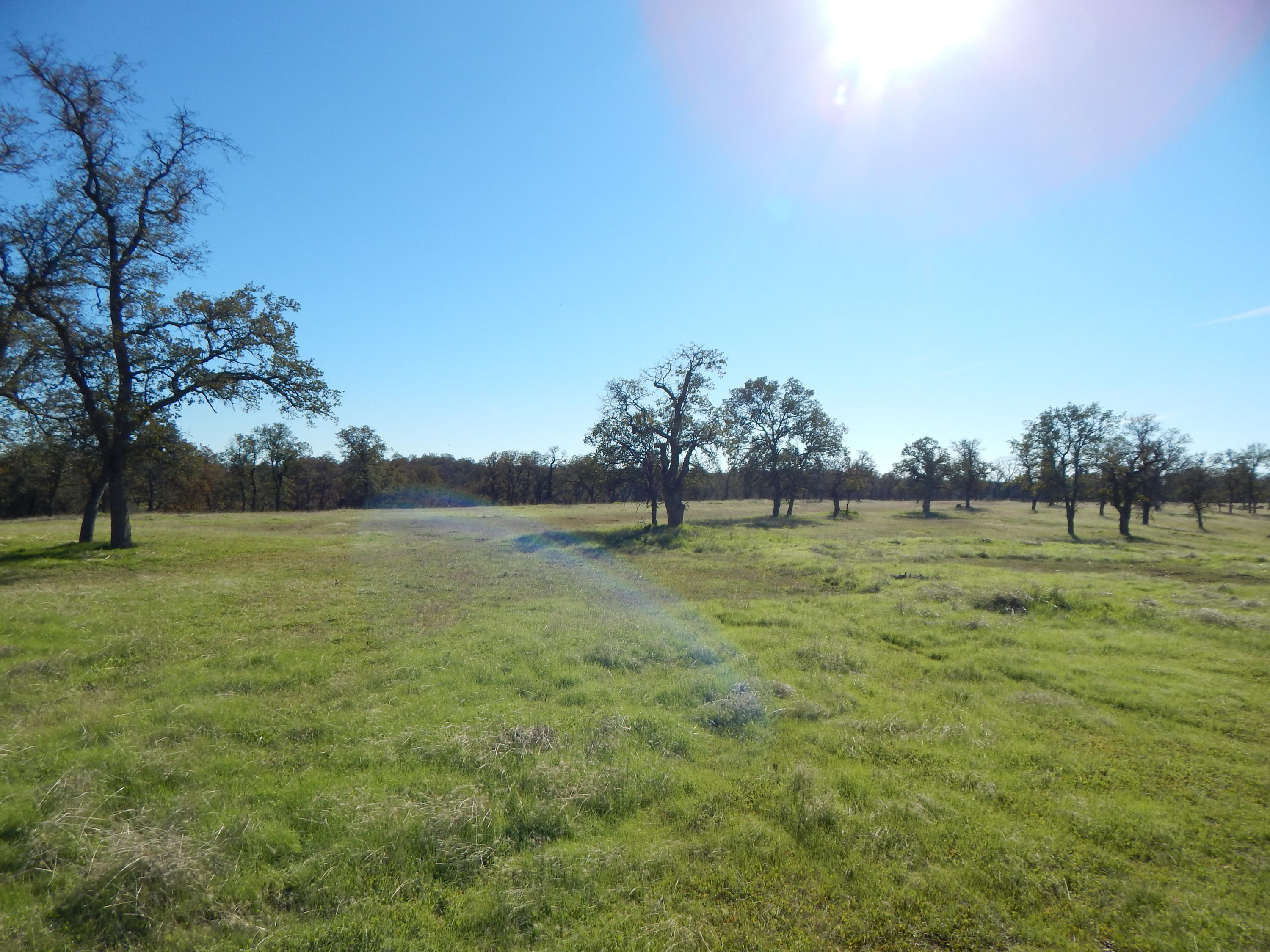 23700 Antler Road Millville, CA 96062 - Photo 49 of 83 DSCN5796