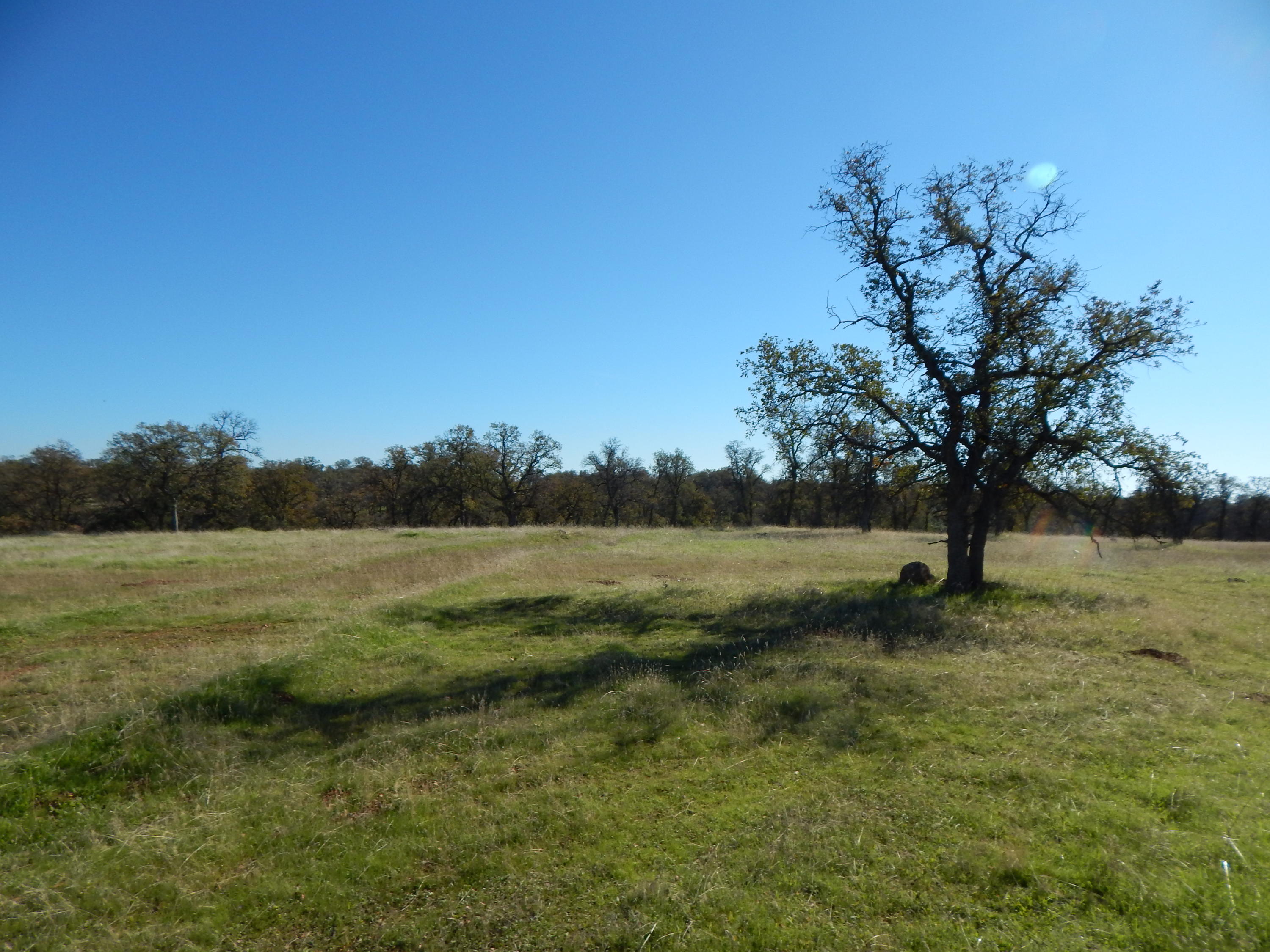 23700 Antler Road Millville, CA 96062 - Photo 56 of 83 DSCN5803