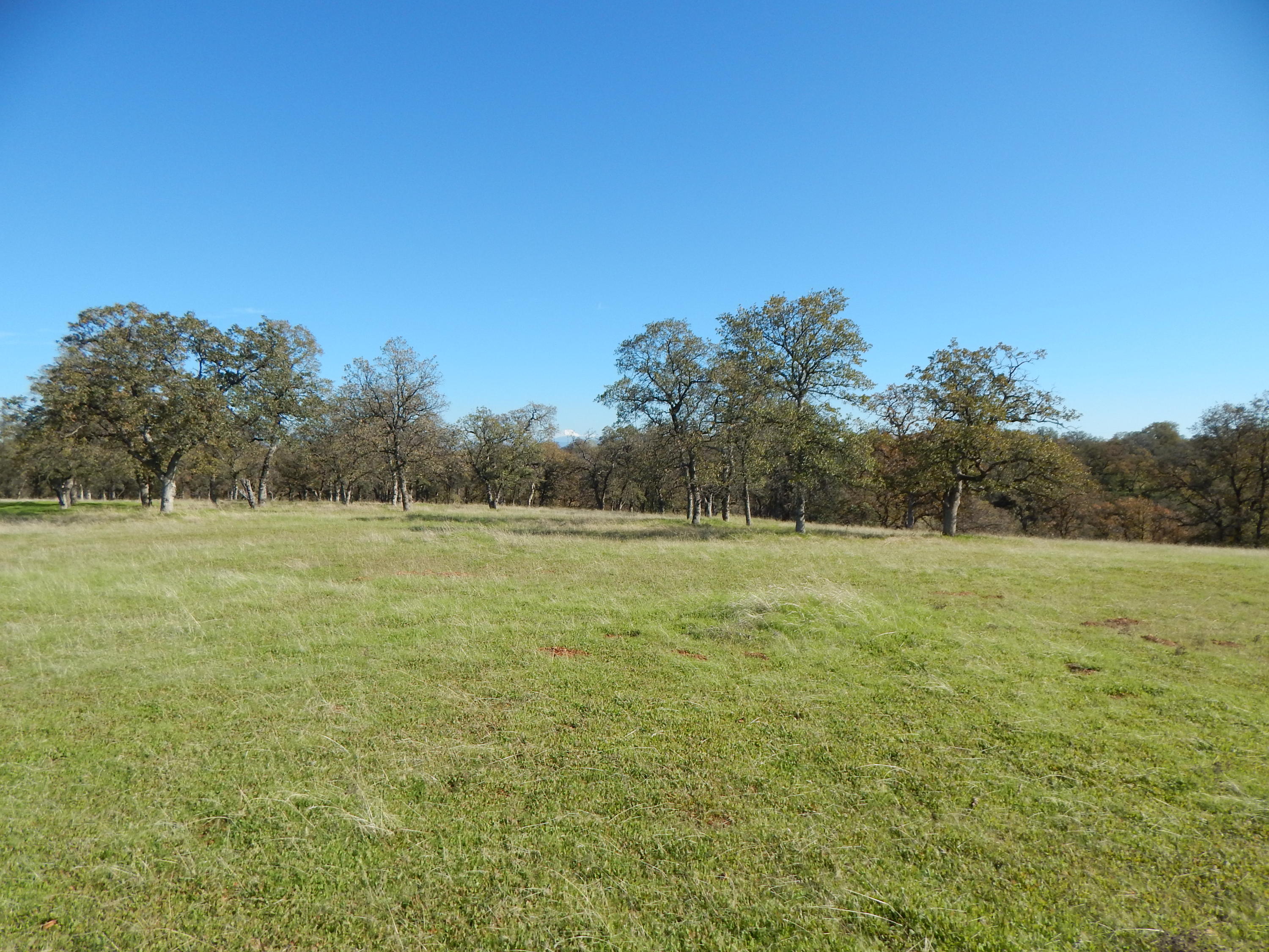 23700 Antler Road Millville, CA 96062 - Photo 57 of 83 DSCN5804