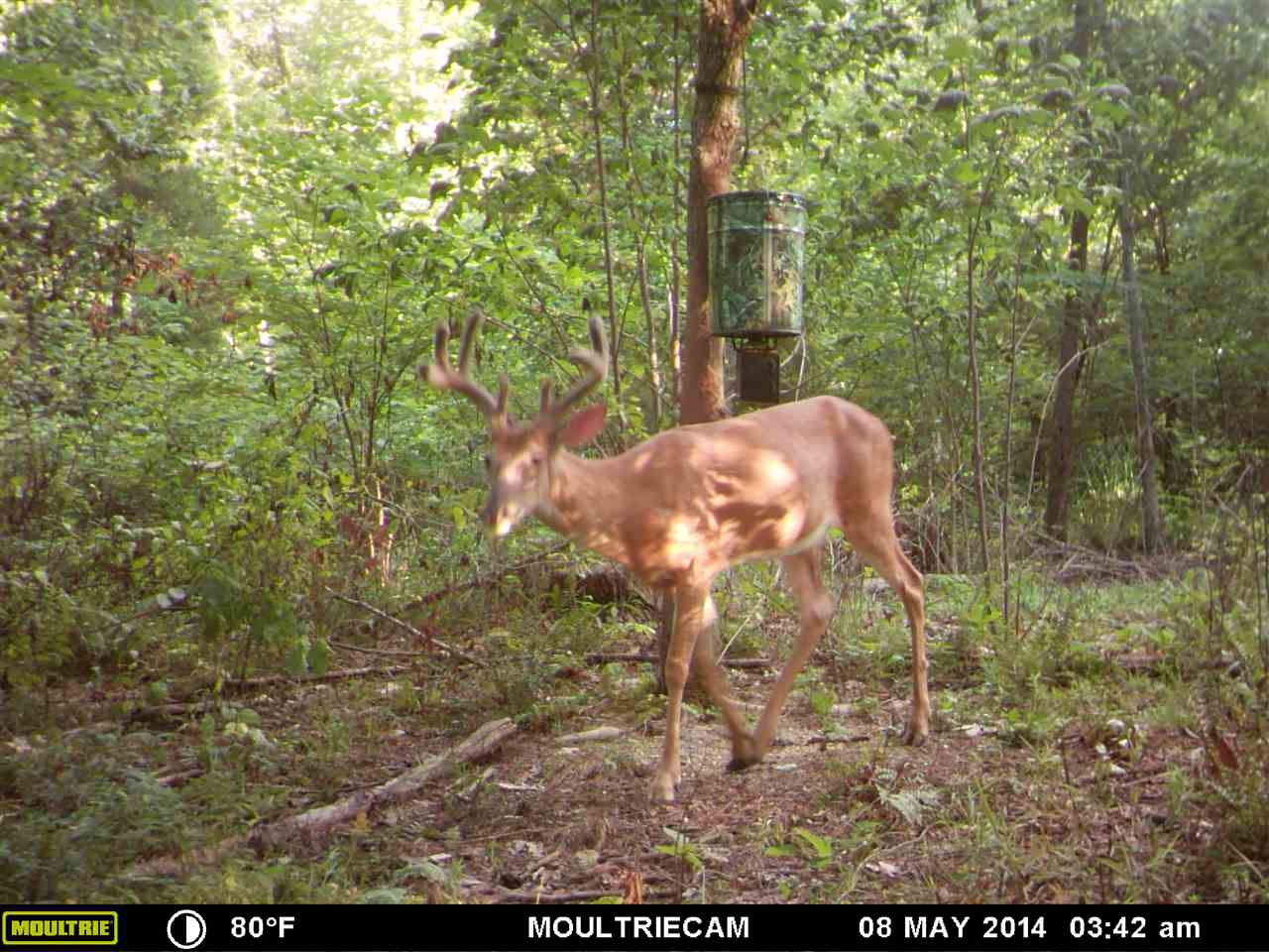 3840-3587 Rusk Road Shoals, IN 47581 - Photo 9 of 12