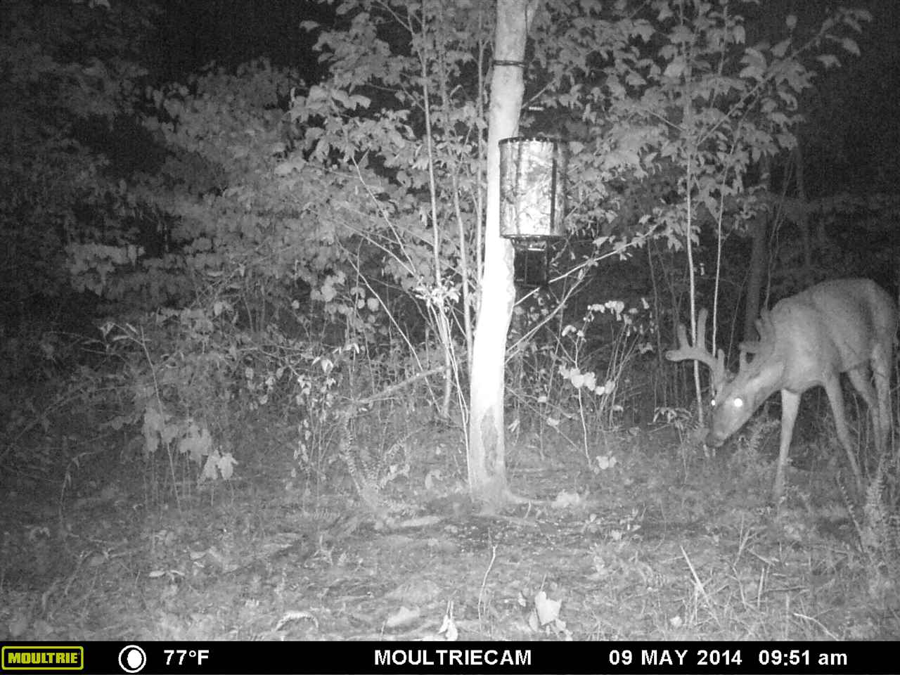 3840-3587 Rusk Road Shoals, IN 47581 - Photo 10 of 12
